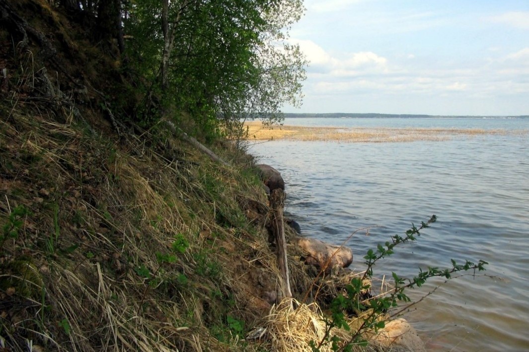 Обнажение «Студенец» на южном берегу озера Нарочь © Из презентации Александра Куксовского