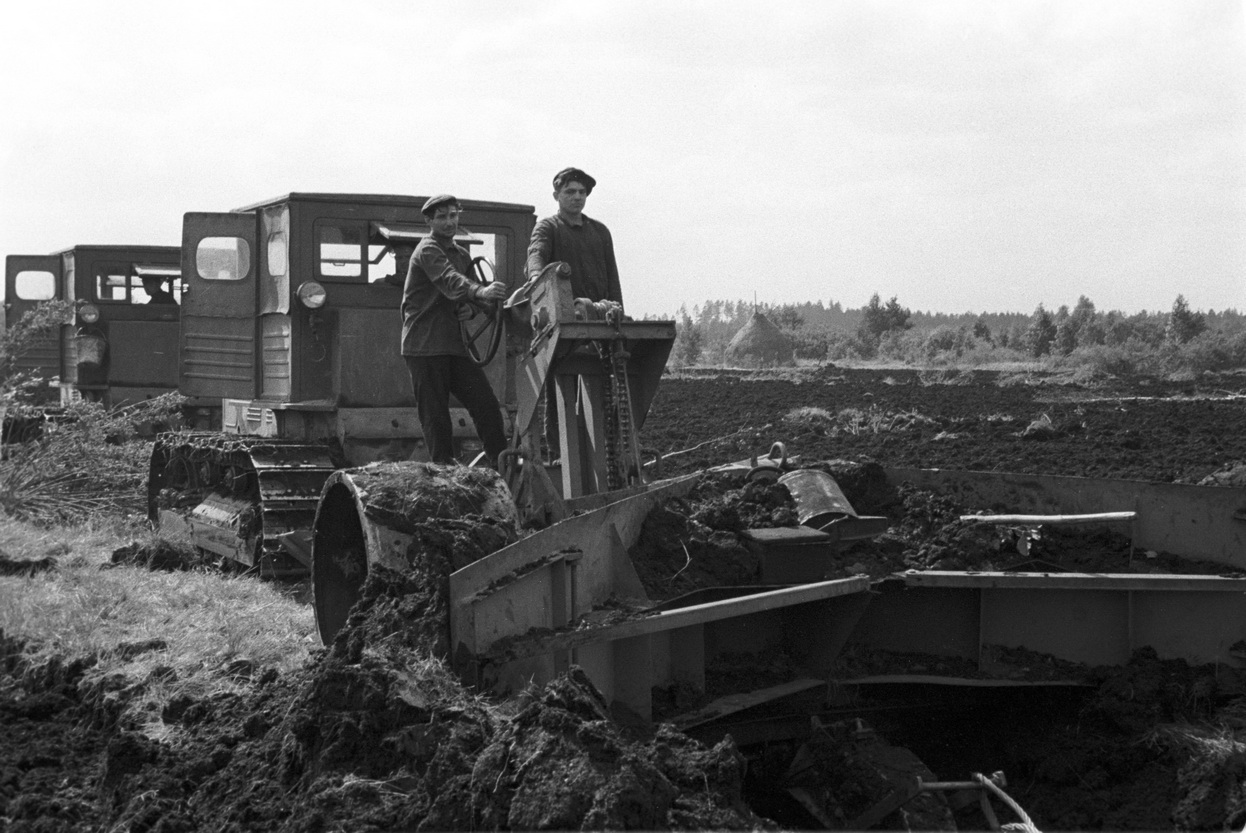 Осушка болот канавокопателем КМ-800, 1951 год. Фото из архива БГАКФФД. tut.by