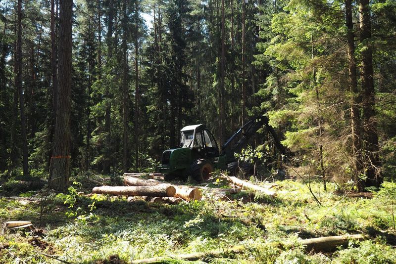 Из документа программы Белгослес: «Следующий рубеж, который планируем покорить, — увеличить объемы заготовки древесины в целях удовлетворения возрастающих потребностей деревоперерабатывающих предприятий. Уже к 2018 году мы планируем заготавливать на 30% больше древесины»