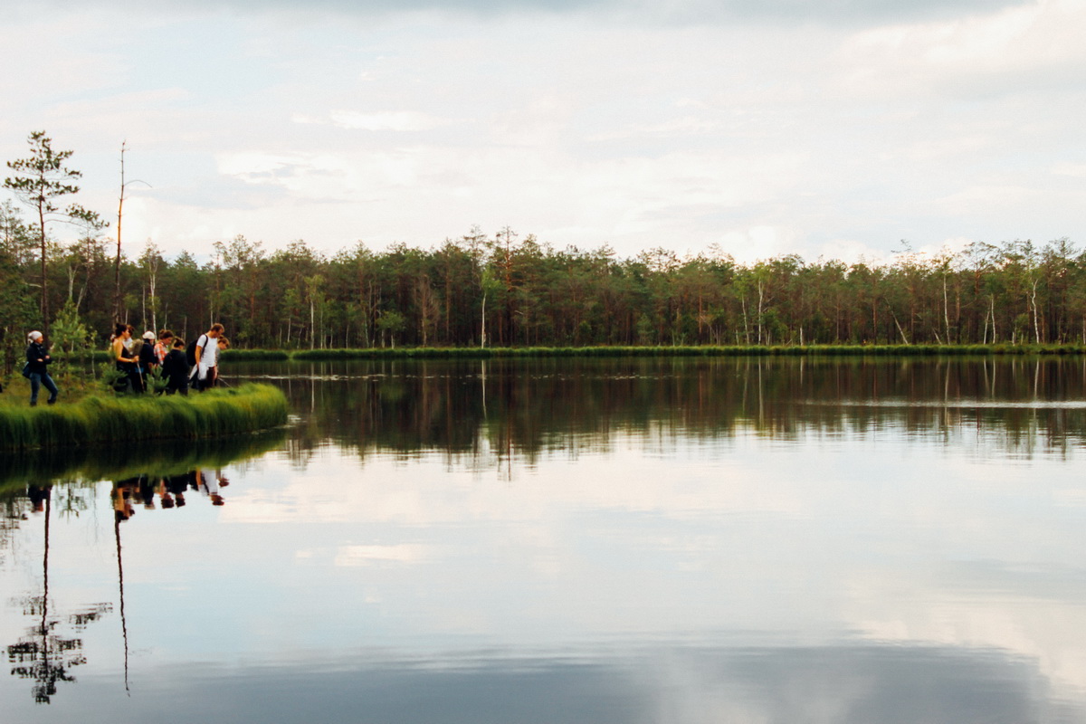 В свободное от работы время волонтёры природоохранной Толоки отправились на Чёртово болото, которое расположено в заказнике «Озёры»