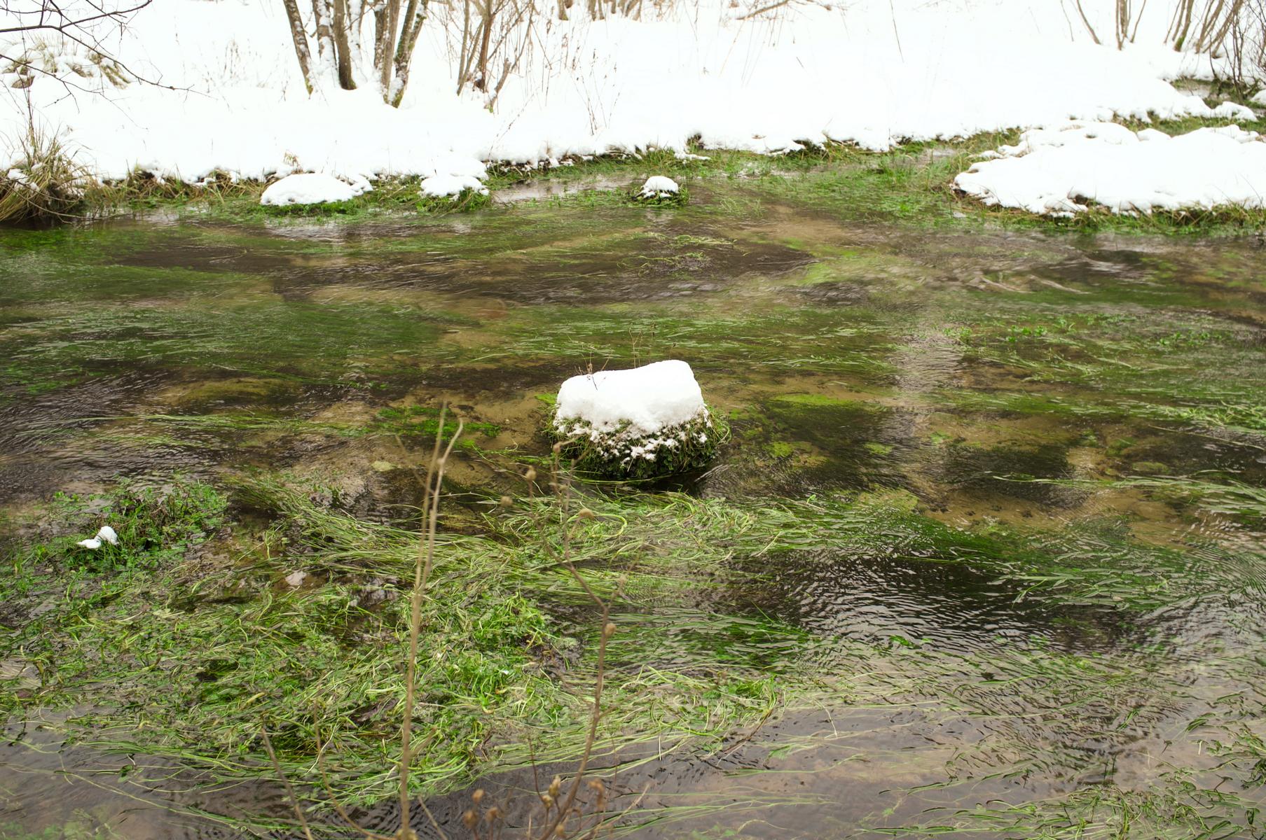 Это место родника, вода здесь не замерзает и превращается в быстро текущую, небольшую извилистую речушку.