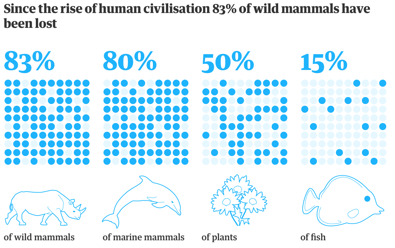 С начала развития человеческой цивилизации исчезло 83% диких млекопитающих, 80% морских млекопитающих, 50% растений, 15% рыб.