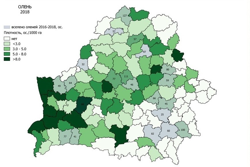 Карта современного распределения благородного оленя в Беларуси. Чем интенсивнее цвет, тем выше плотность. Иллюстрация из презентации Павла Велигурова, источник данных — охотничьи хозяйства