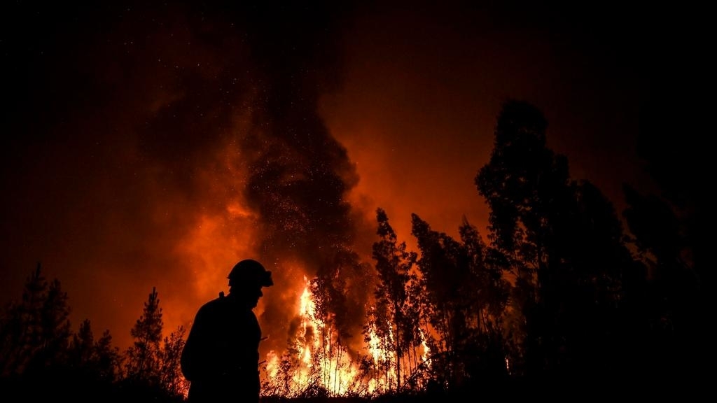 Лесные и торфяные пожары и их характеристика