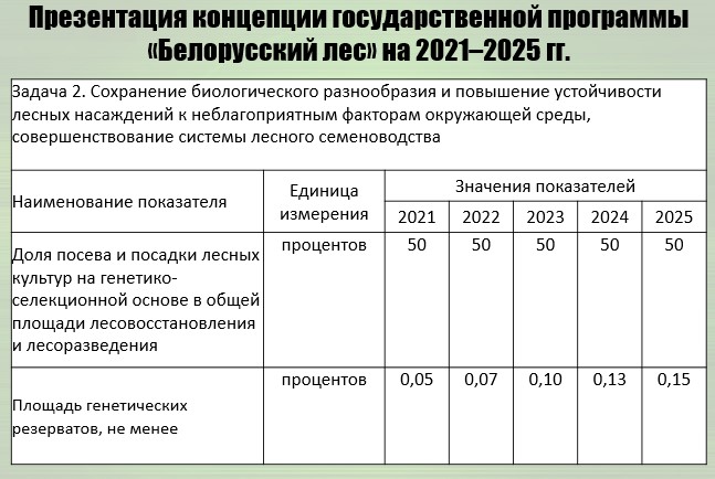 Задача 2 подпрограммы 1 концепции госпрограммы «Беларусский лес» на 2021–2025 годы © Из презентации В. Носникова