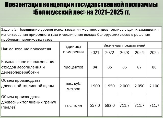 Задача 5 подпрограммы 1 концепции госпрограммы «Беларусский лес» на 2021–2025 годы © Из презентации В. Носникова
