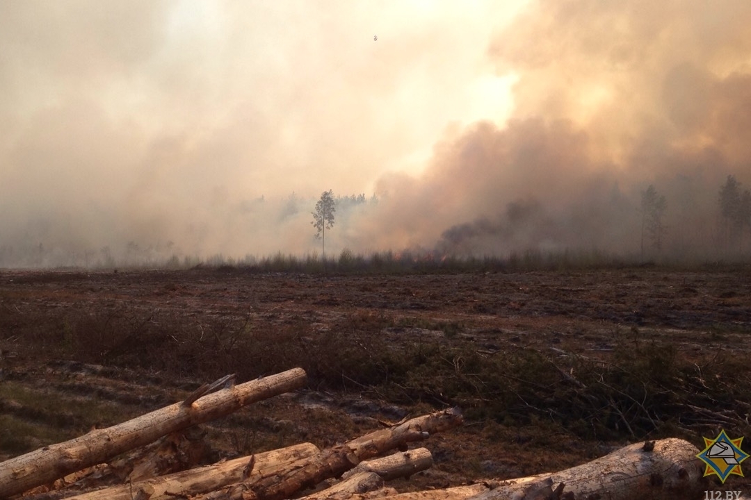 Пожар на Ольманских болотах