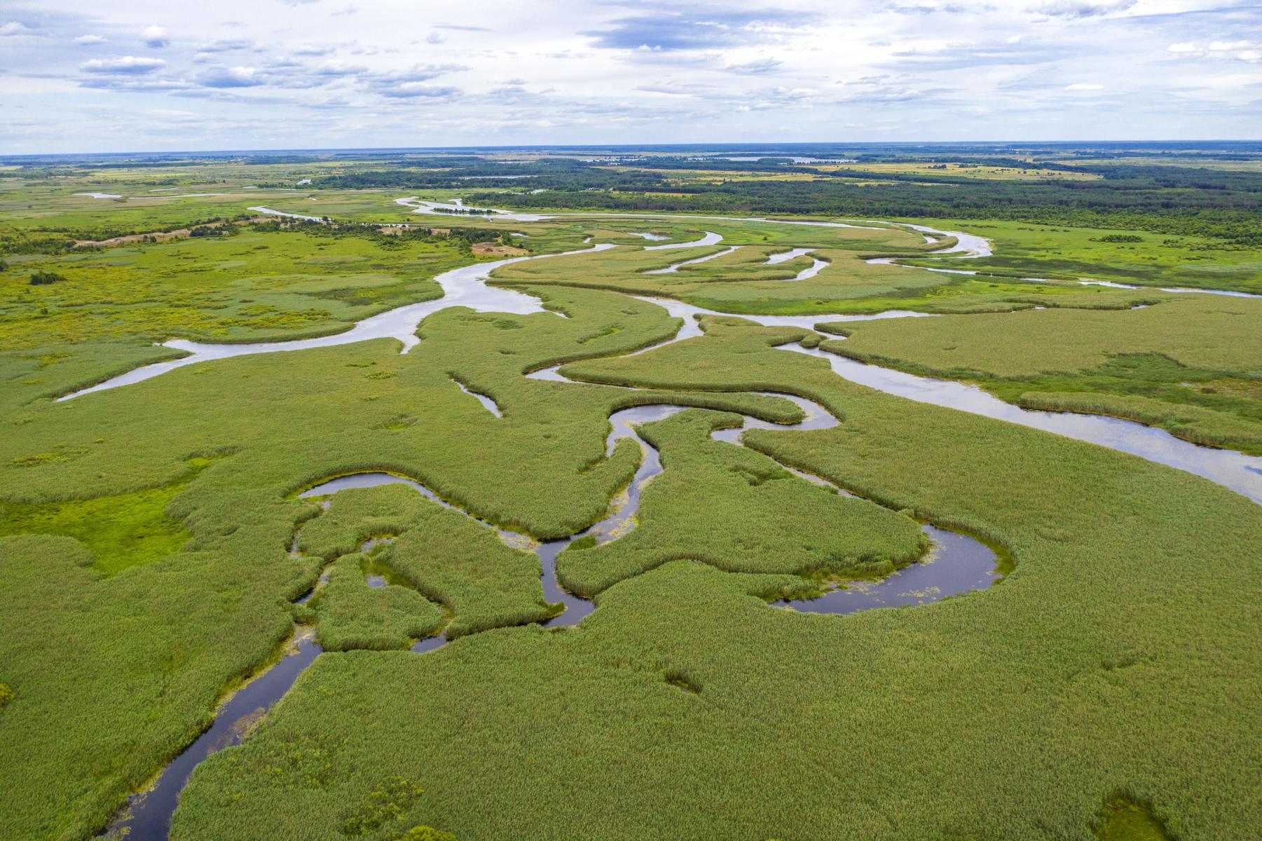 Река Припять в национальном парке «Припять-Стоход». Полесье, Украина. Фото сделано с дрона