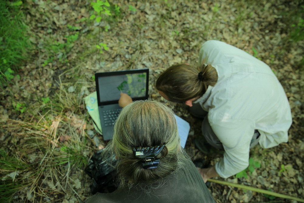Рабочая группа «Багны» проводит мониторинг нарушений на особо охраняемых территориях, борется за сохранение редких видов, работает над улучшением экологического законодательства.
