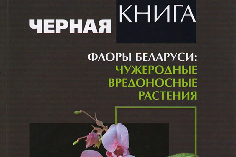 Чёрная книга флоры Беларуси. © zviazda.by