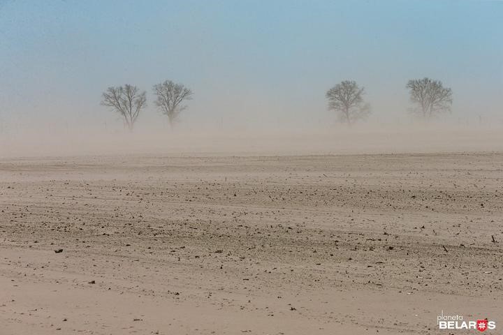 Песчаные бури в Полесье. Фото: Сергей Плыткевич, planetabelarus.by. Источник: TUT.BY. 