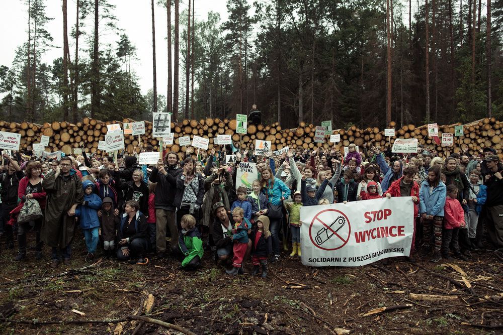 Протест против вырубки в Беловежской пуще