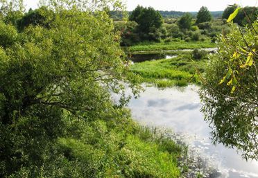 15 -
