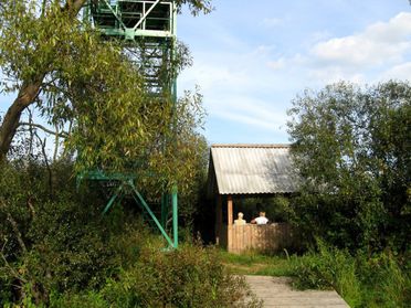 16 -