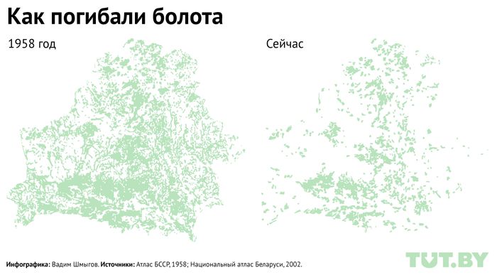 Реферат: Мелиорация болот в Республике Беларусь и её последствия