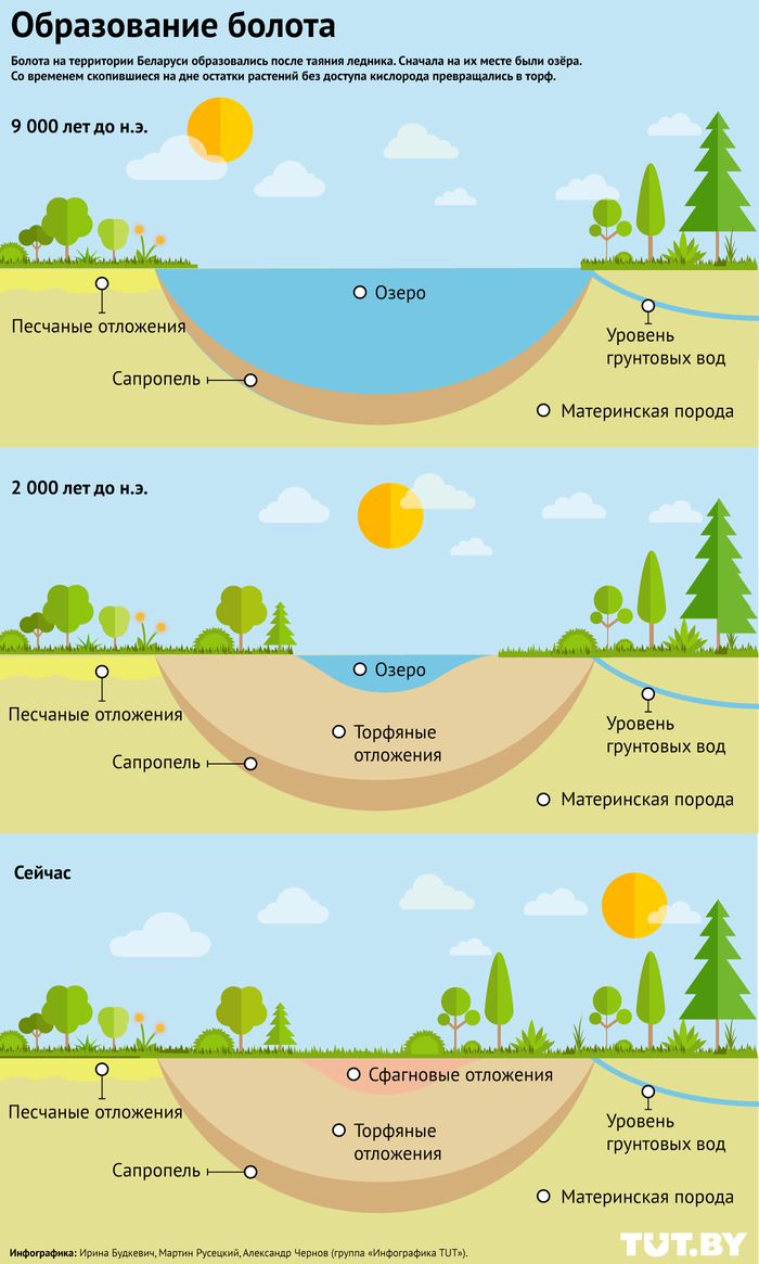 Затопленные города, проблемы с питьевой водой, исчезновение птиц. Как  Беларусь спаслась от этих бед