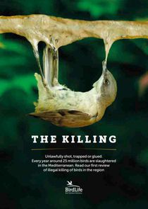 the-killing
