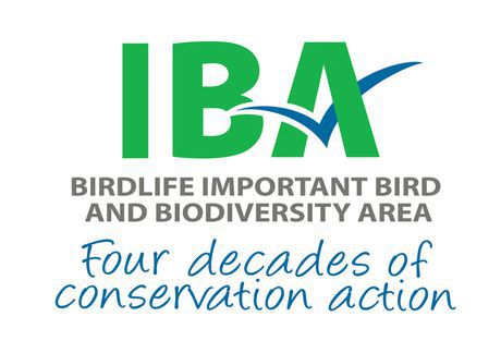 iba-stamp_tagline