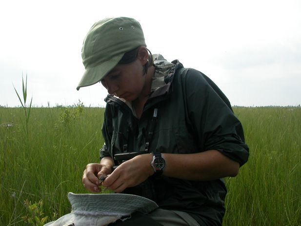 Во время проекта по изучению вертлявой камышевки, 2005 год