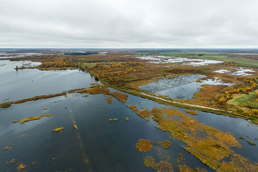 The Dokudovsky bog remained as a natural bog after reorganisation of the reserve only in quarters 111, 118, 132 and 133.