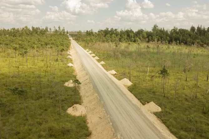 На территории республиканского ландшафтного заказника «Ольманские болота» была построена дорога, которая проходит напрямую через нетронутое верховое и переходное болото