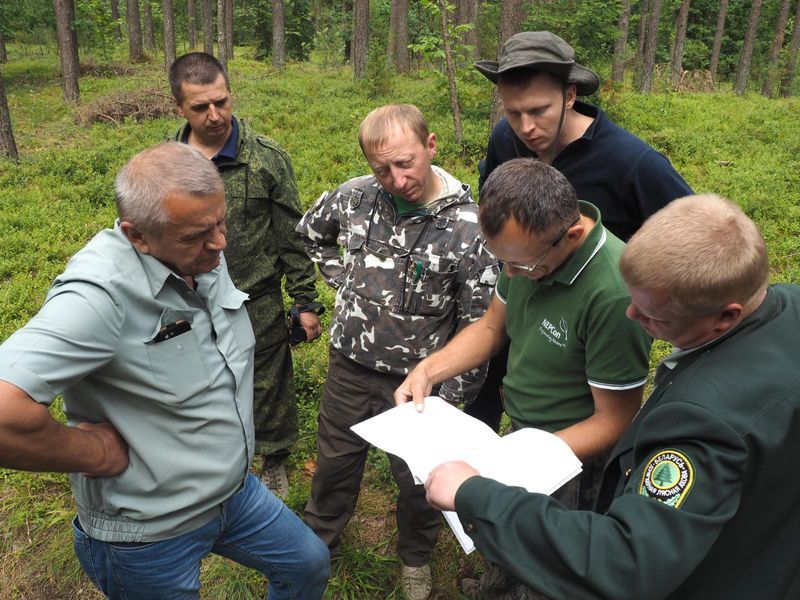 В 2018 году проходил полевое тестирование новый Национальный стандарт FSC. Тестирование объединило разработчиков стандарта, аудиторов, наблюдателей, работников лесного хозяйства, которые попытались достичь баланса в вопросах сертификации и имплементировать национальный стандарт в практику лесоуправления
