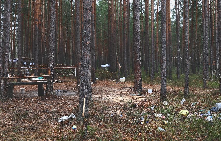 Скрыншот з праекта «Альманы. Балоты пад пагрозаю»