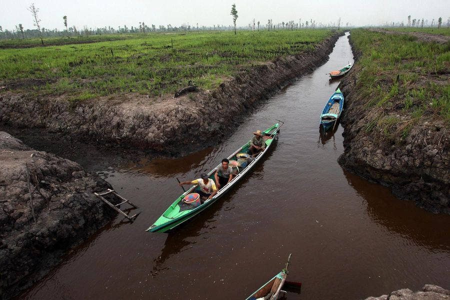 Люди перемещаются на лодках по каналам торфяника в Центральном Калимантане, Индонезия