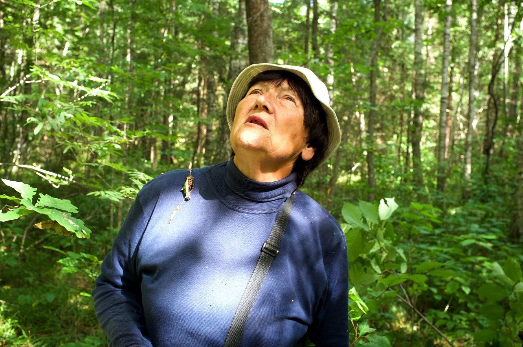 Наталья Вахний, биолог, высматривает среди крон деревьев летягу