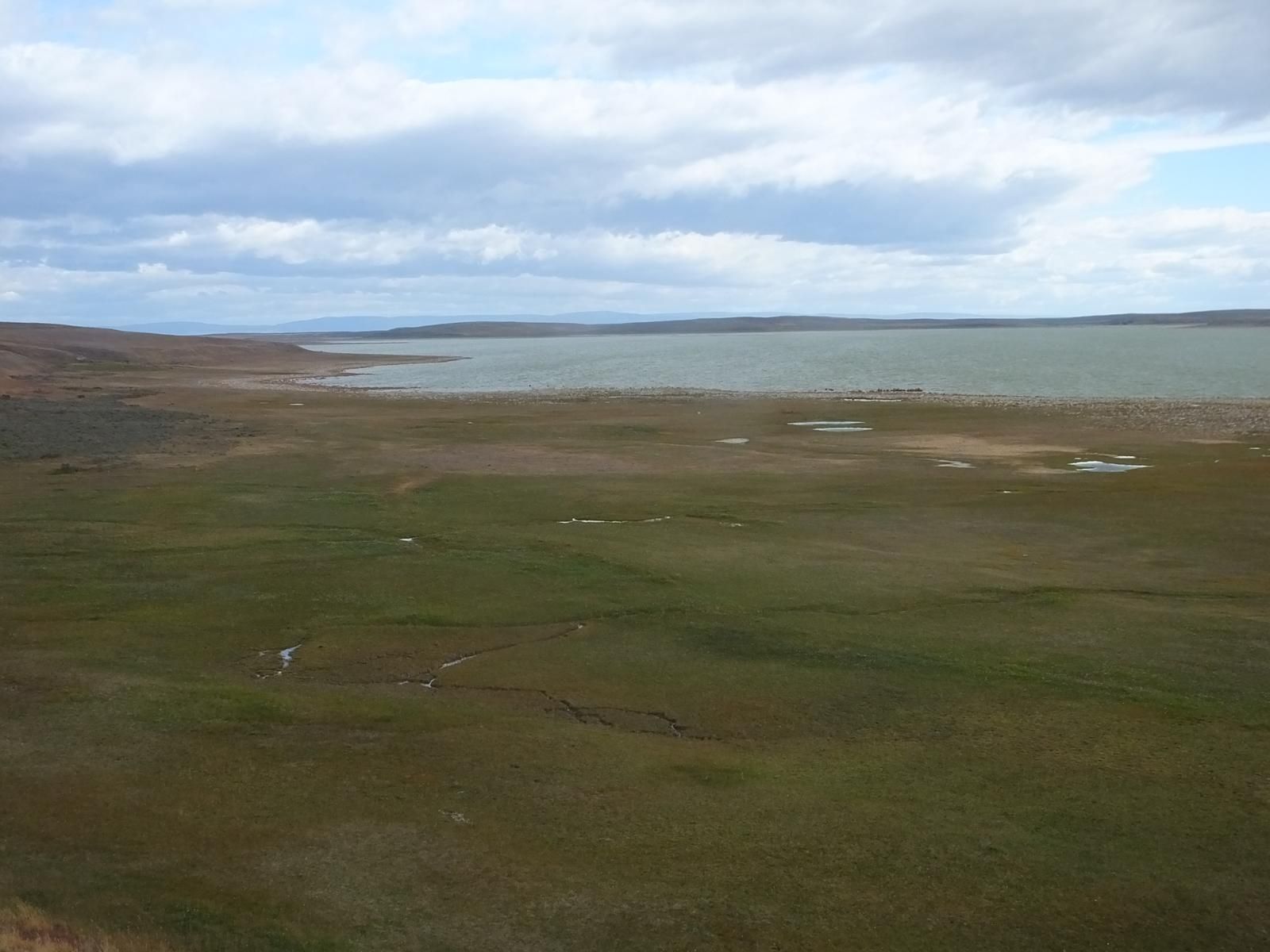 Вид на строматолитовое озеро и окружающее его болотную экосистему с холма.