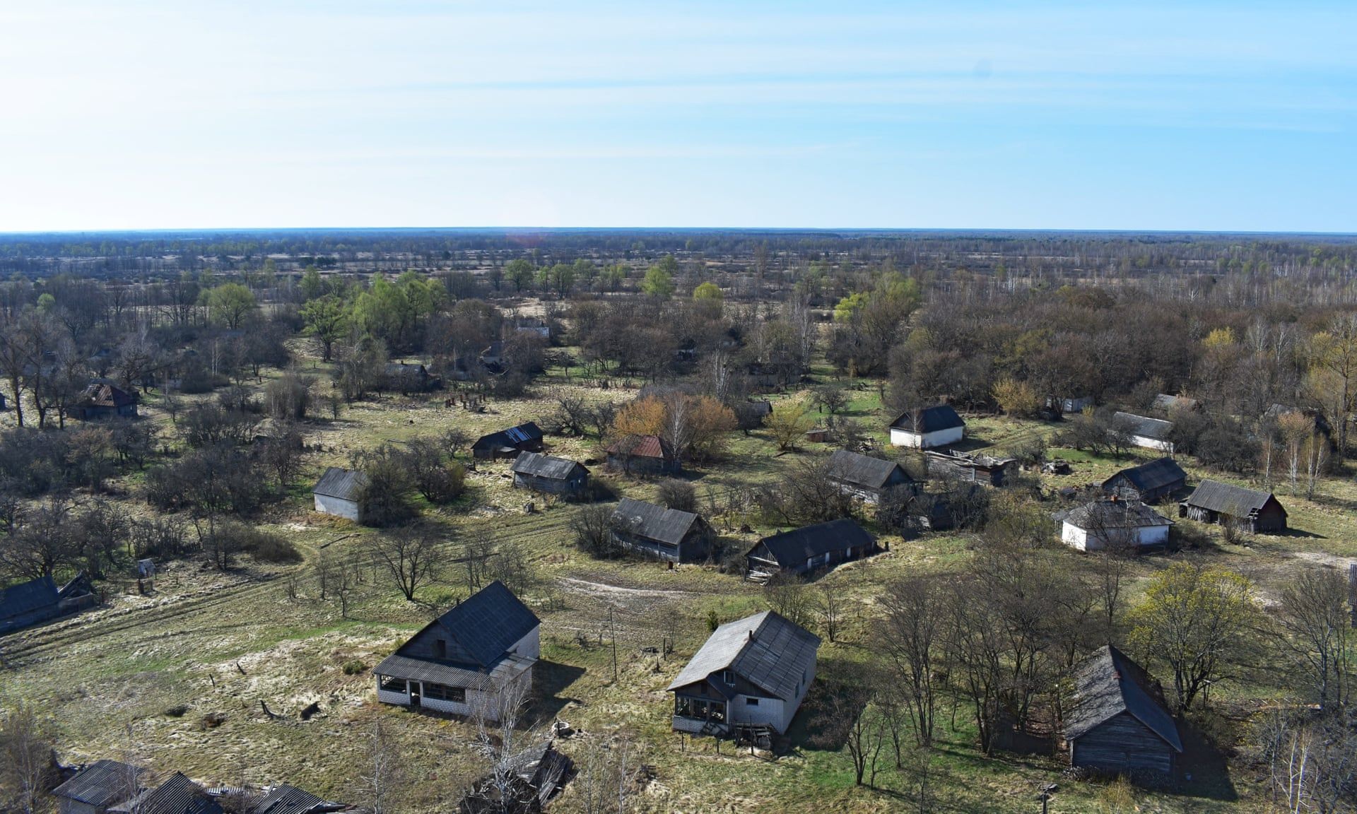 Wild abandon … the view from the Palieski observation tower