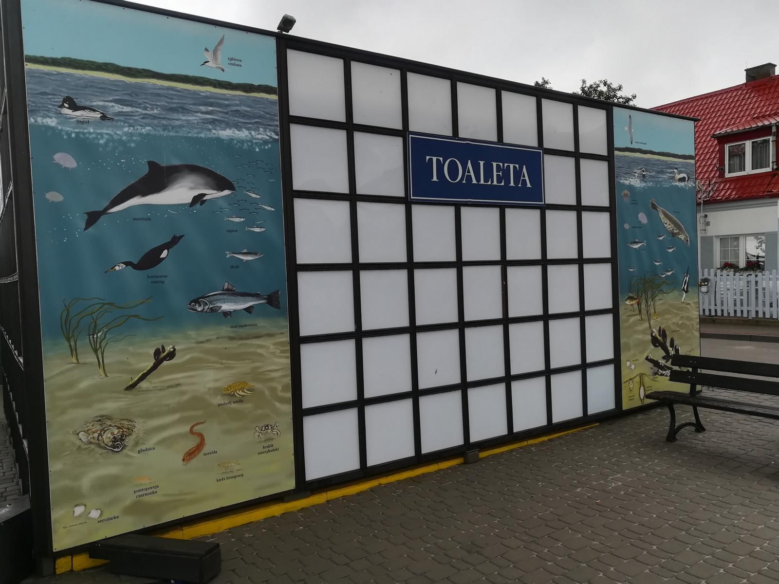 На стенах туалета для посетителей изображены морские животные и подписаны их название – так время в очереди превращается в время для экологического образования.