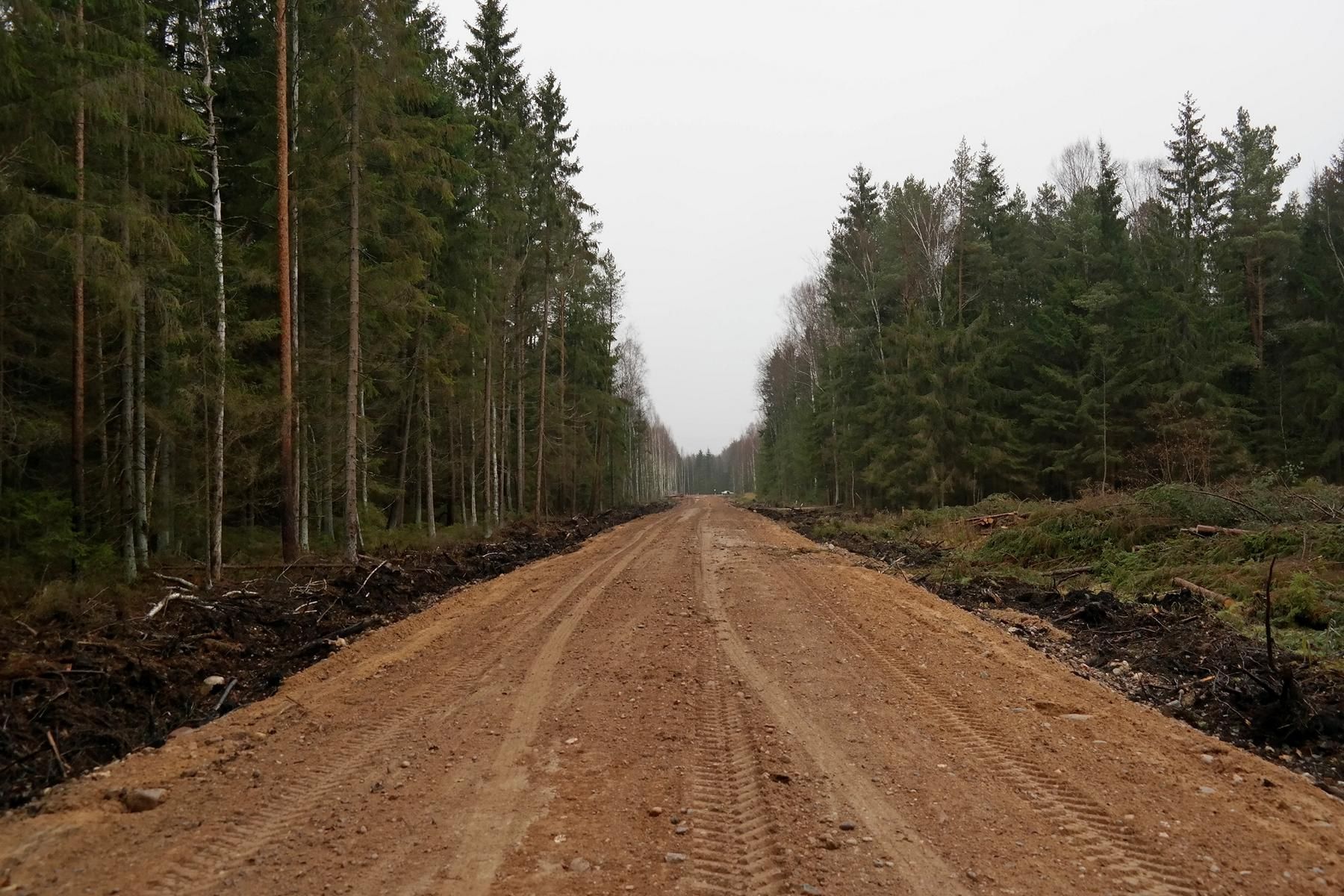 Новая лесохозяйственная дорога в национальном парке «Браславские озёра»