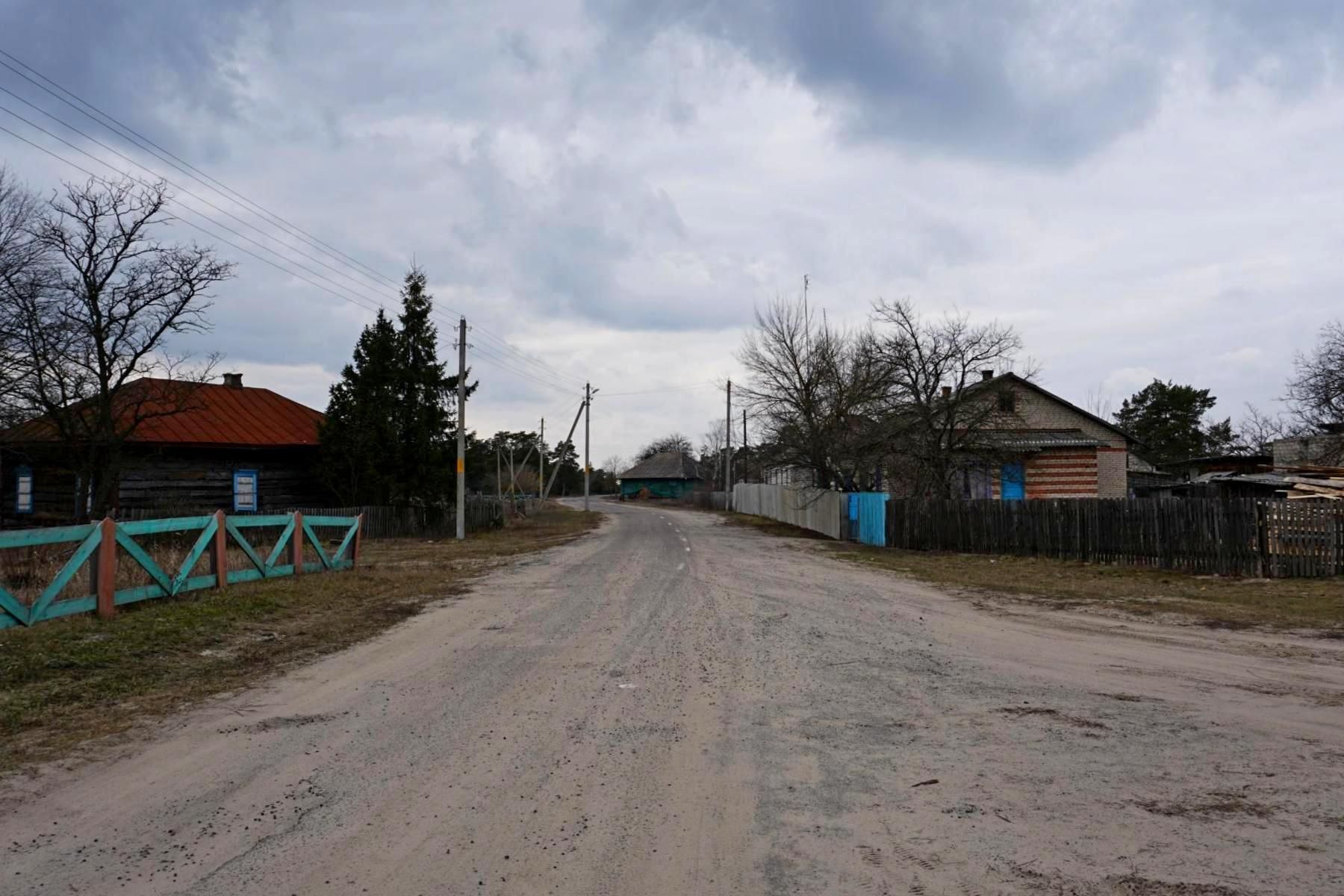 Центральная улица деревни Нижние Жары