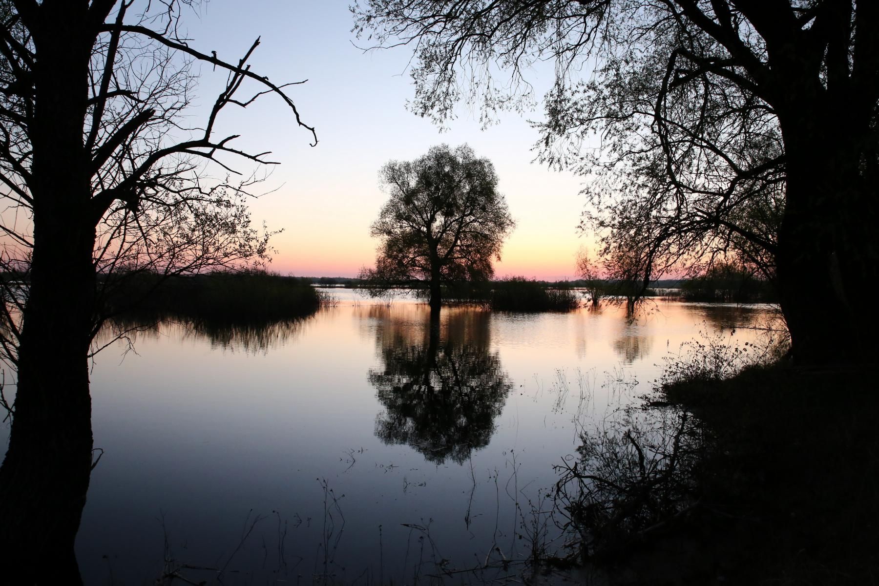 Весенний разлив на реке Припять