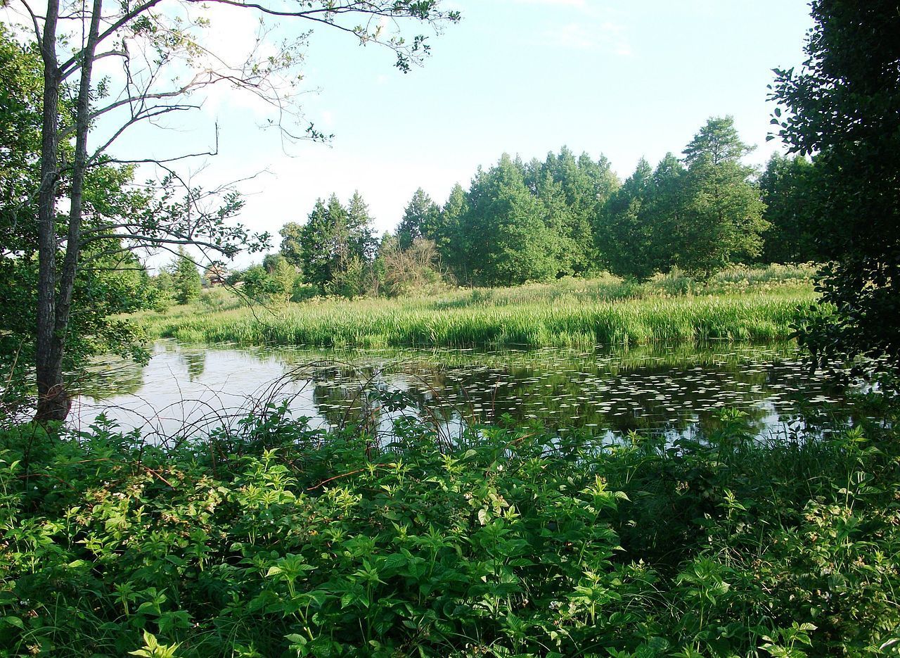 And this is the Usha River, the right tributary of the Berezina