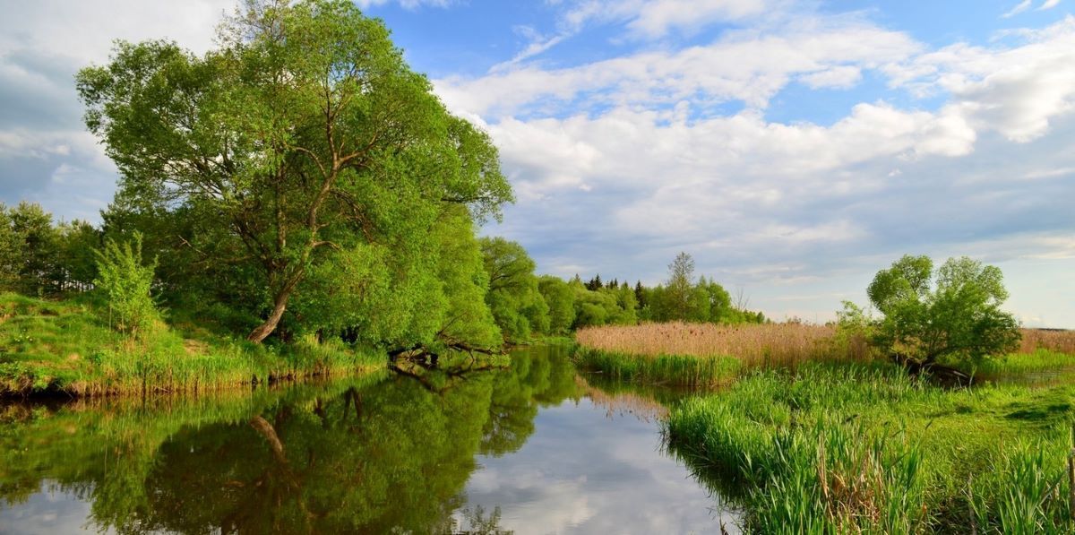 The Plisa River, a right tributary of the Berezina, is only 64 km long. It flows through the territory of Smolevichi and Borisov districts of the Minsk region and is now endangered, as it is heavily polluted