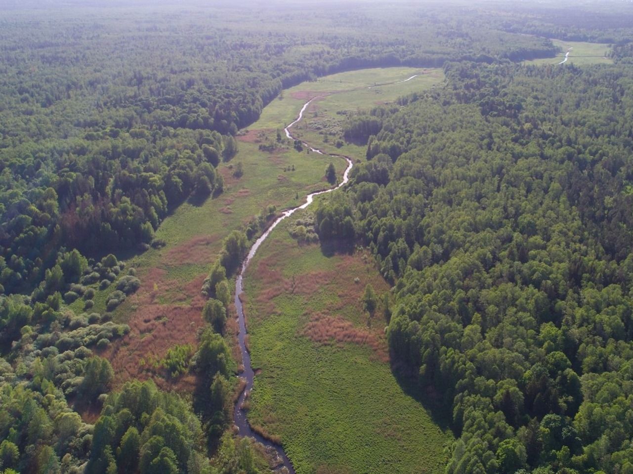 "Alignment (channelling) greatly affects the life of the river. The hydrological regime is changing, followed by that of flora and fauna. For Belovezhskaya Pushcha, the alignment of numerous rivers has become one of the reasons for a strong drop in the groundwater level. Such rivers no longer water the forest, but dry it," explains Viktor Fenchuk, coordinator of the programme of the Frankfurt Zoological Society in Belarus