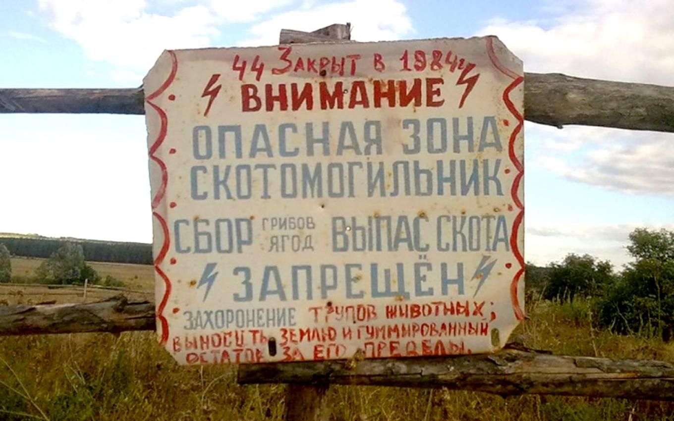 Только в одной Московской области выявили 39 бесхозных скотомогильников