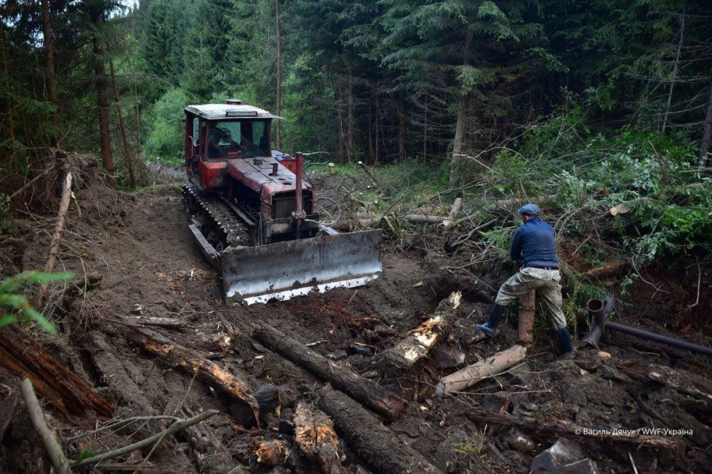It took four days to dismantle the old Lostunets dam in the Chorniy Cheremosh River basin, located in the Verkhovyna National Nature Park in the Carpathian Mountains