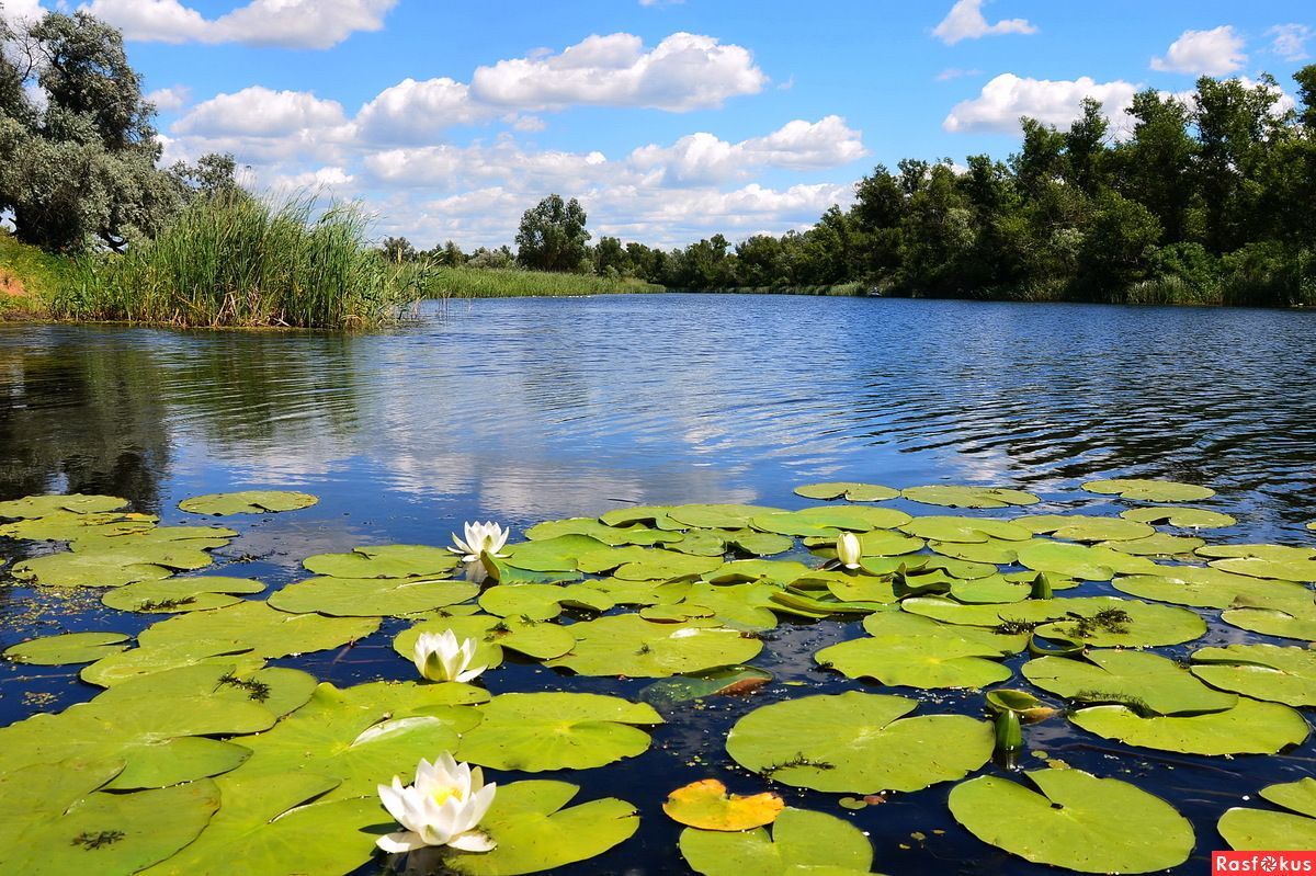 River and lake ecosystems are a concentration of biodiversity