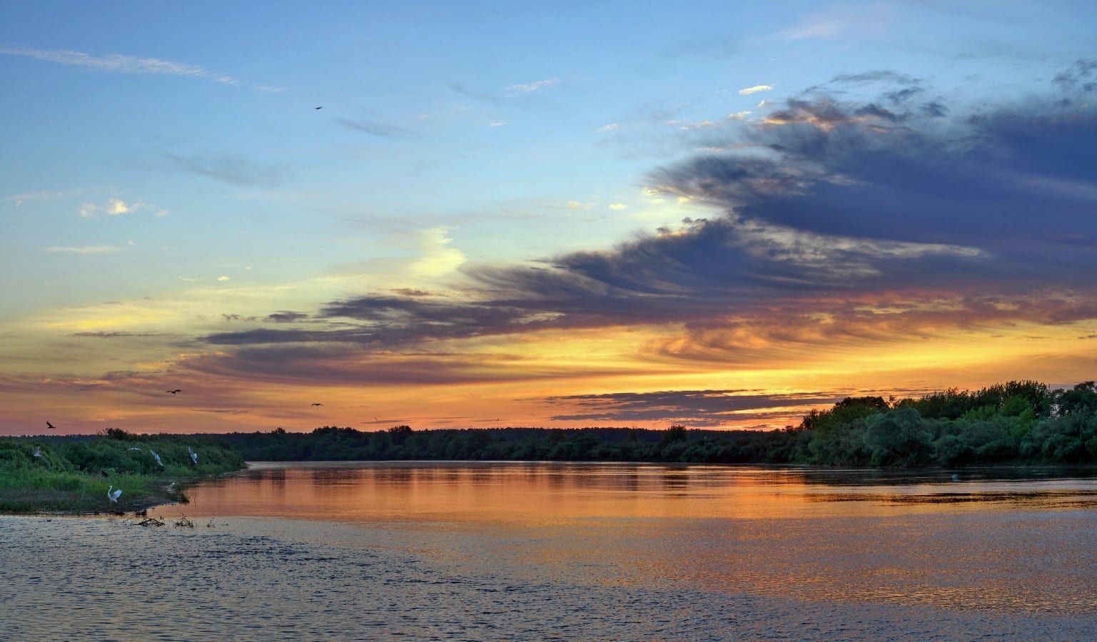 Международный общественный бассейновый совет по Днепру и Припяти призван наладить межстрановой диалог для улучшения экологической ситуации на двух реках